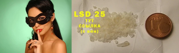 крисы Болохово