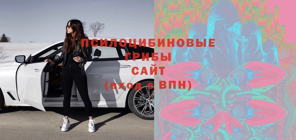 крисы Армянск