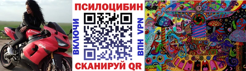 Галлюциногенные грибы GOLDEN TEACHER  цена   Заволжск 